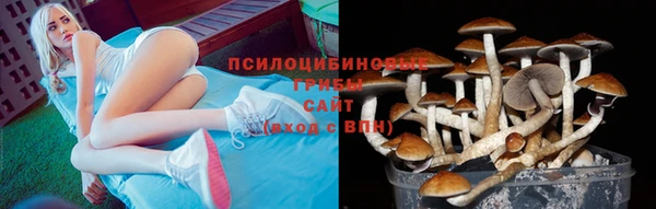тгк Киров