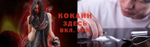 герыч Пересвет