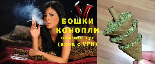 тгк Киров