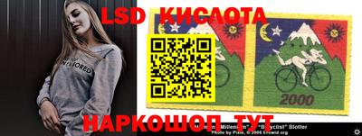 крисы Аргун