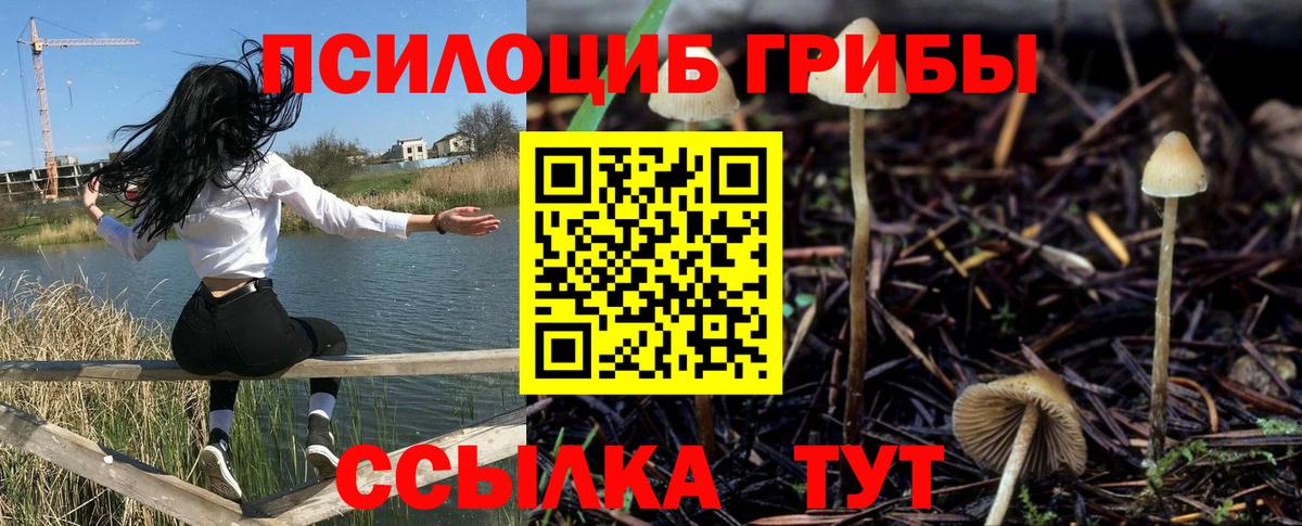 как найти закладки  Белогорск  Псилоцибиновые грибы GOLDEN TEACHER 